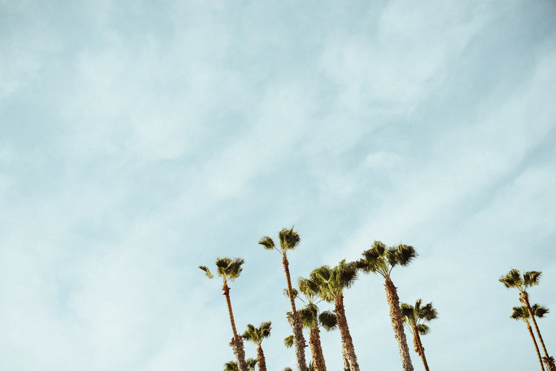 Oceanside, CA// Spring 2015
