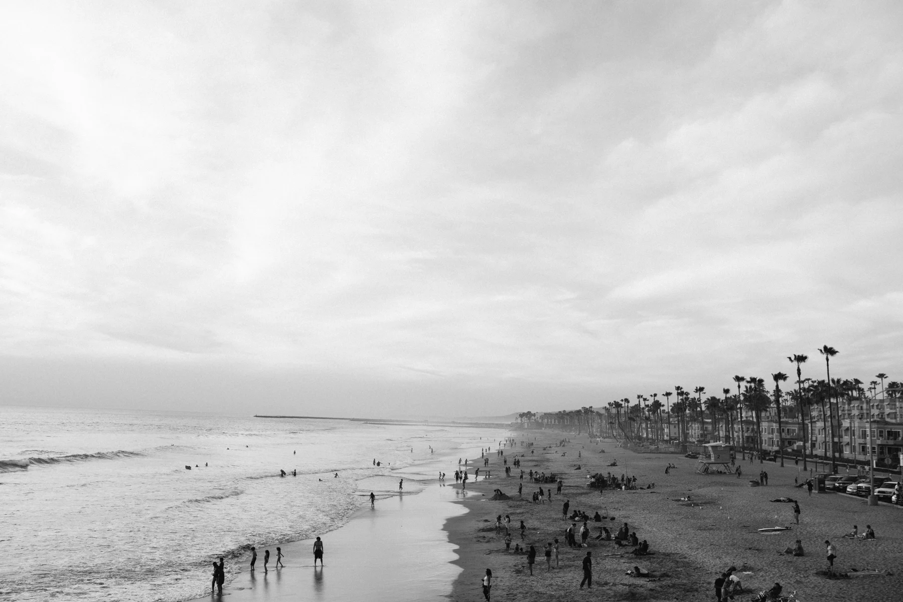 Oceanside Pier, CA// June bloom 2015