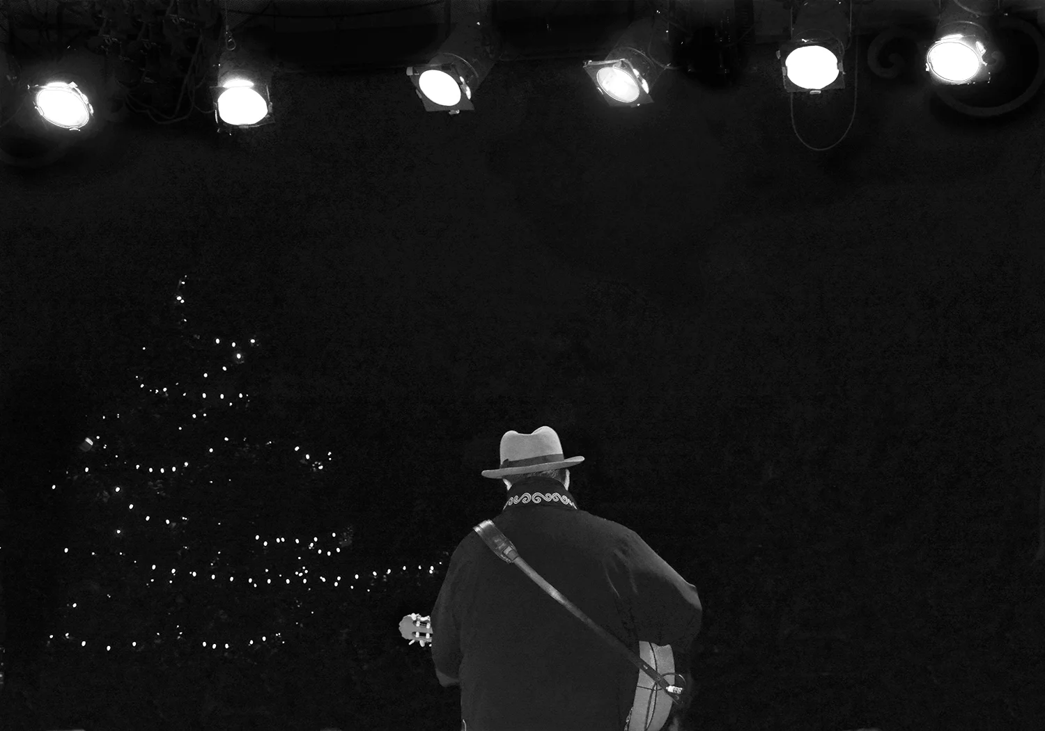Raul Malo, 2015