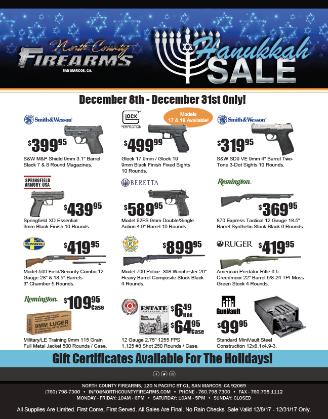 Hanukkah Flyer_Web.jpg