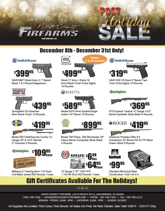 Post Holiday Flyer_Web.jpg