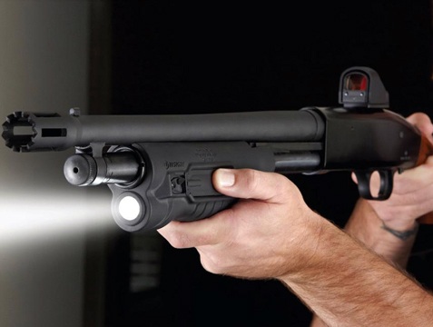 forend_on_shotgun.jpg