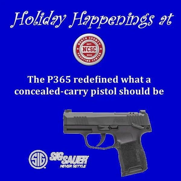 Holiday Happenings-P365.jpg