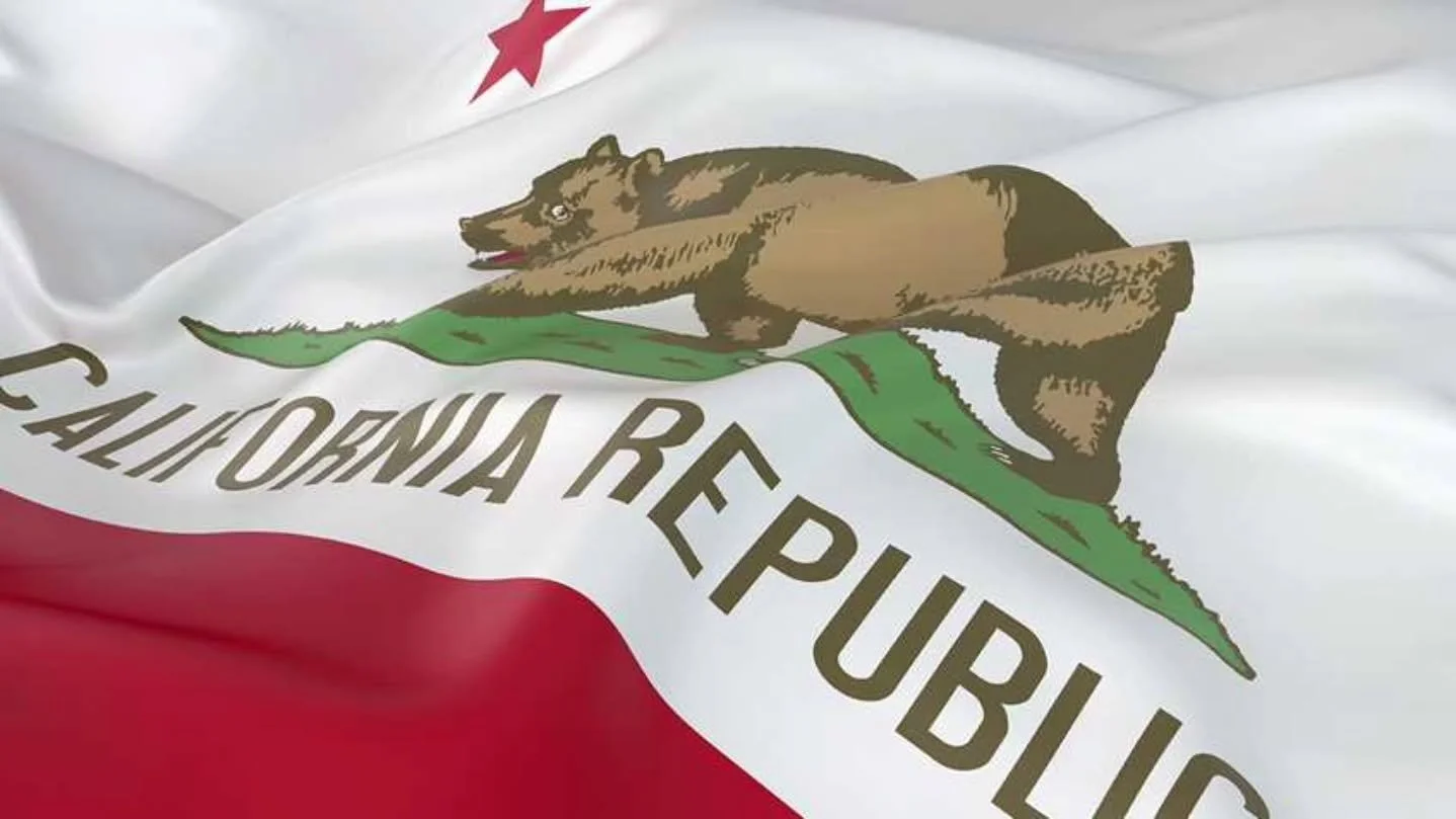 📣 'California: Committee to Reconsider Concealed Carry License Extension Bill'

Read full article
👉 https://tinyurl.com/mx399w3m

@nra #California #News #CCW