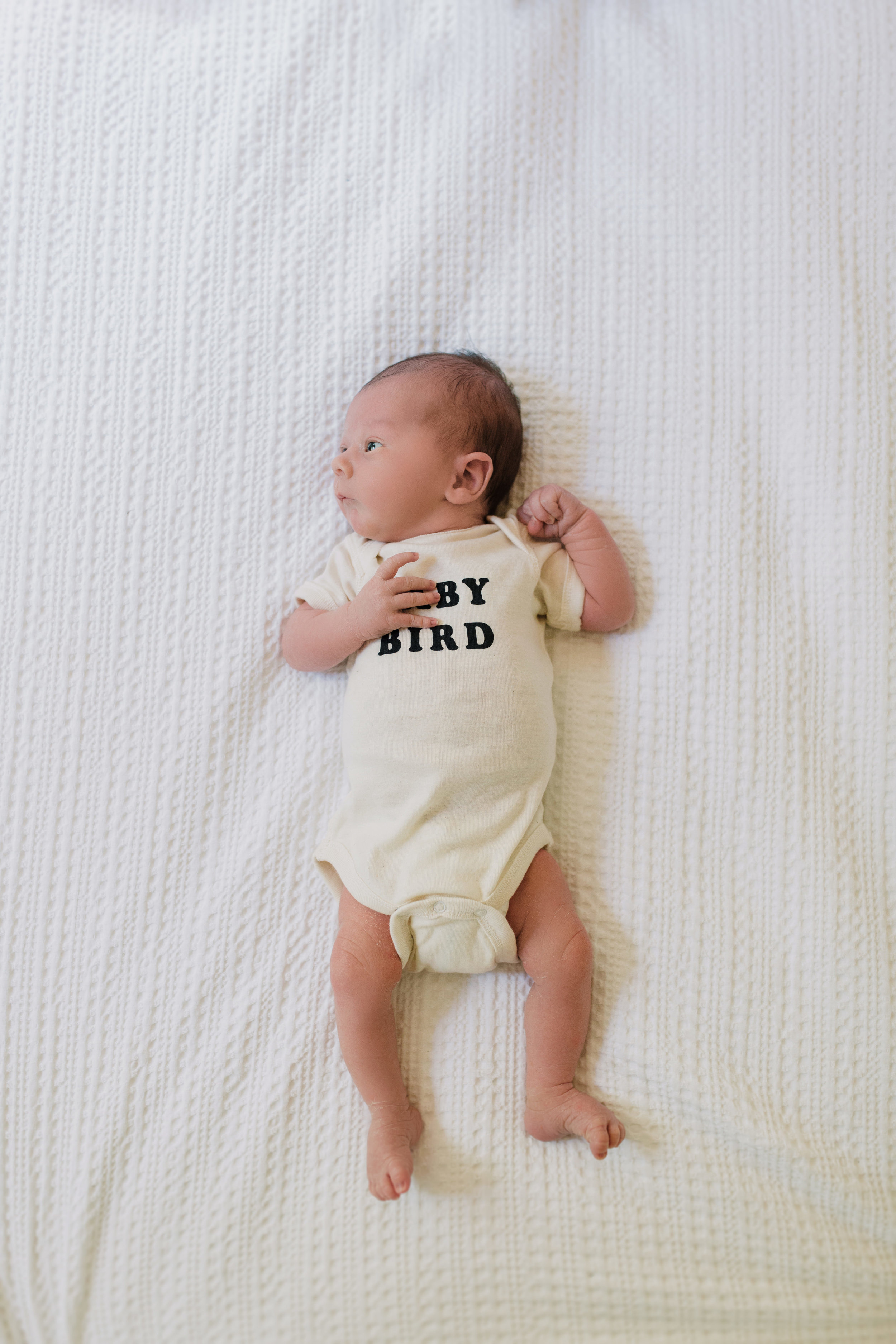 EAasland Innocent Brix-68.jpg