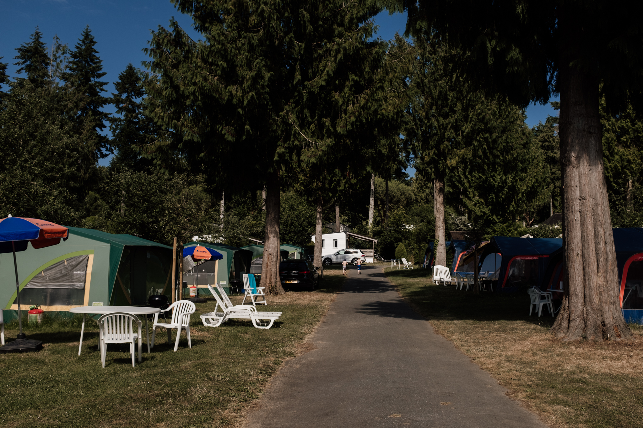 DSCF2620.jpg