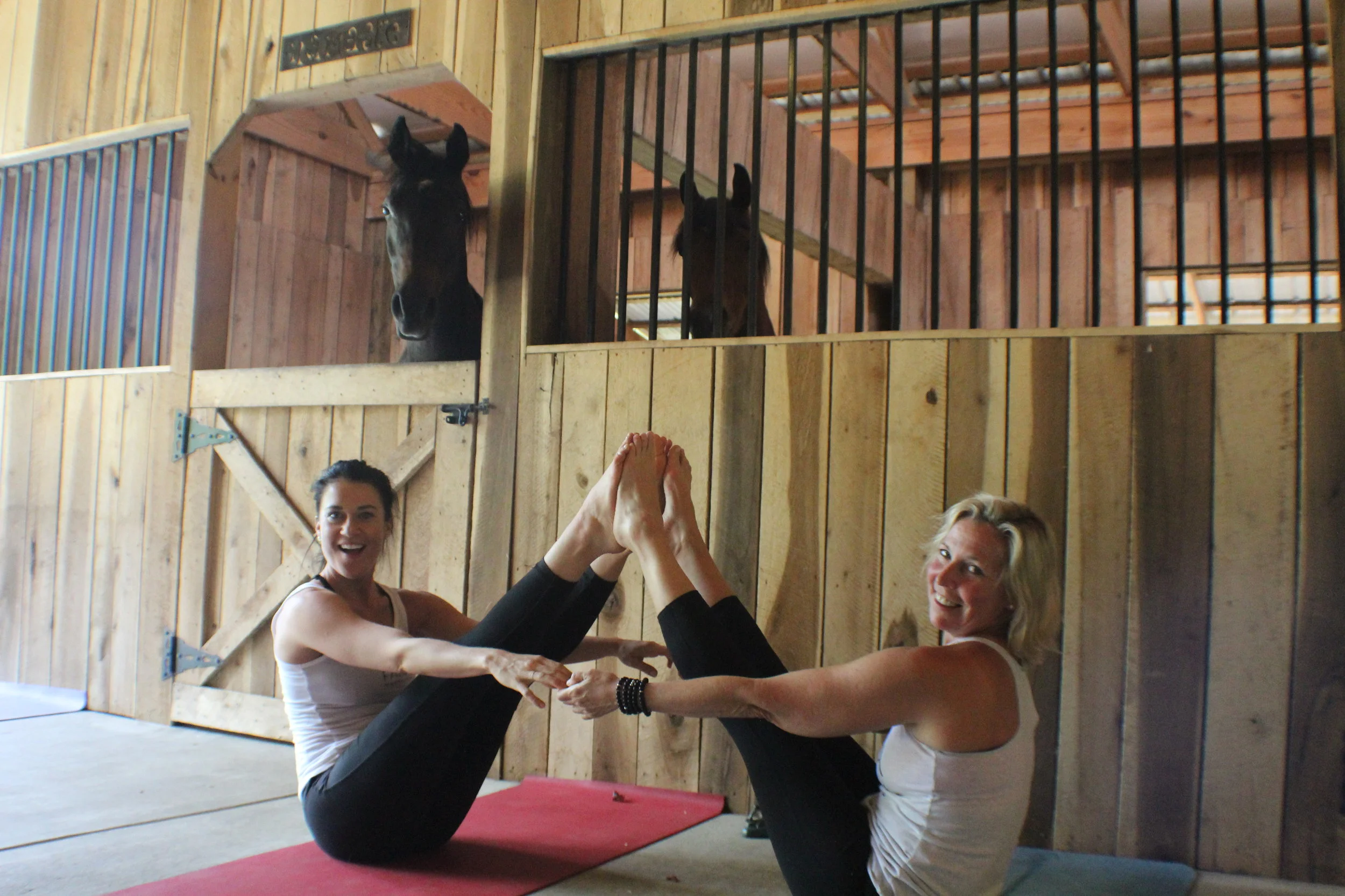 Yoga in the Barn