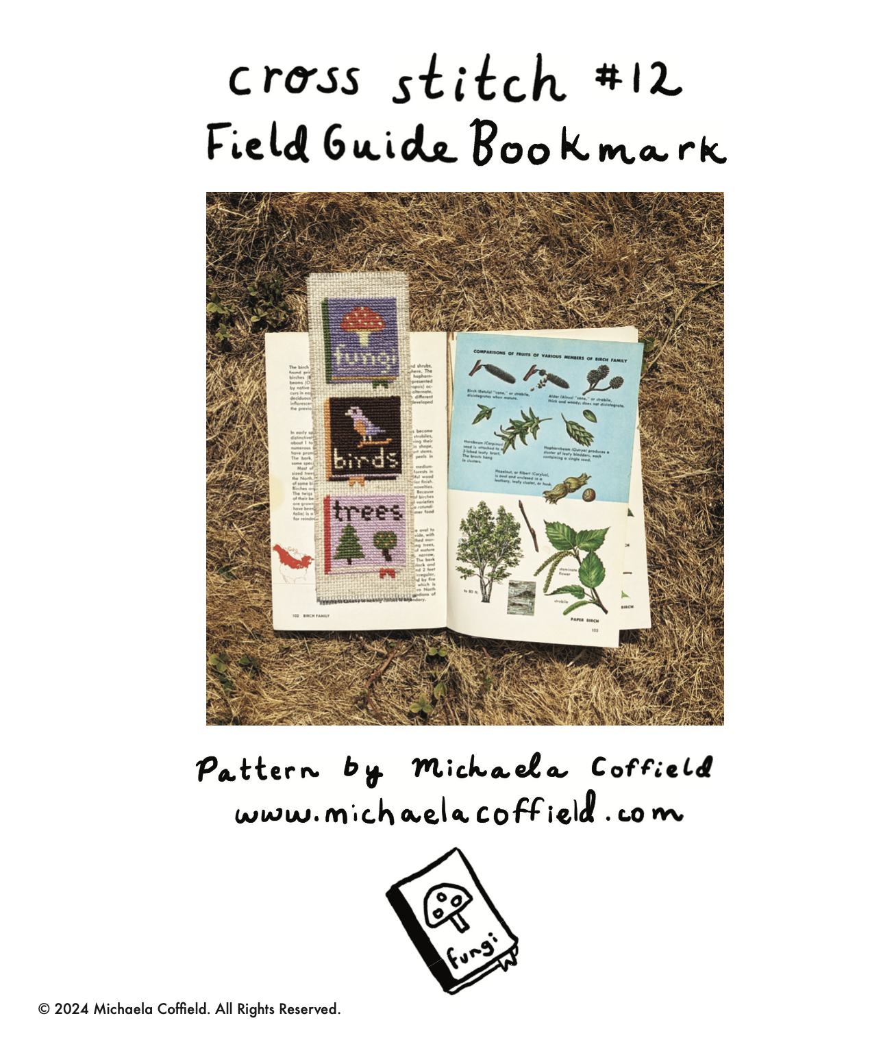 Screen Shot 2024-08-09 at 10.30.11 AM.png