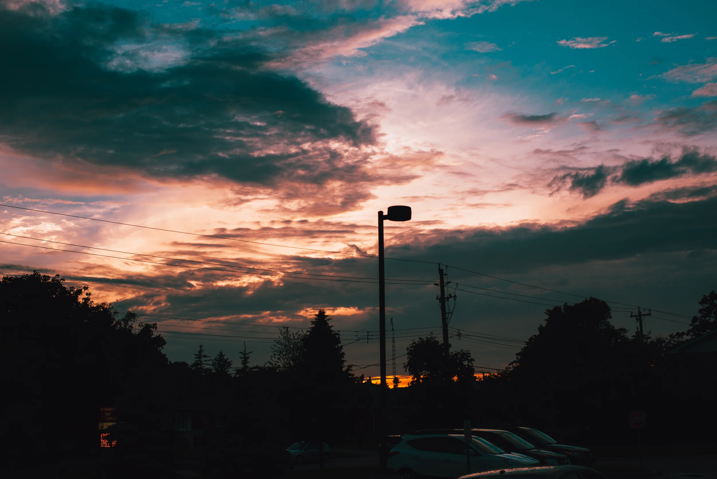 DSC_1352.jpg