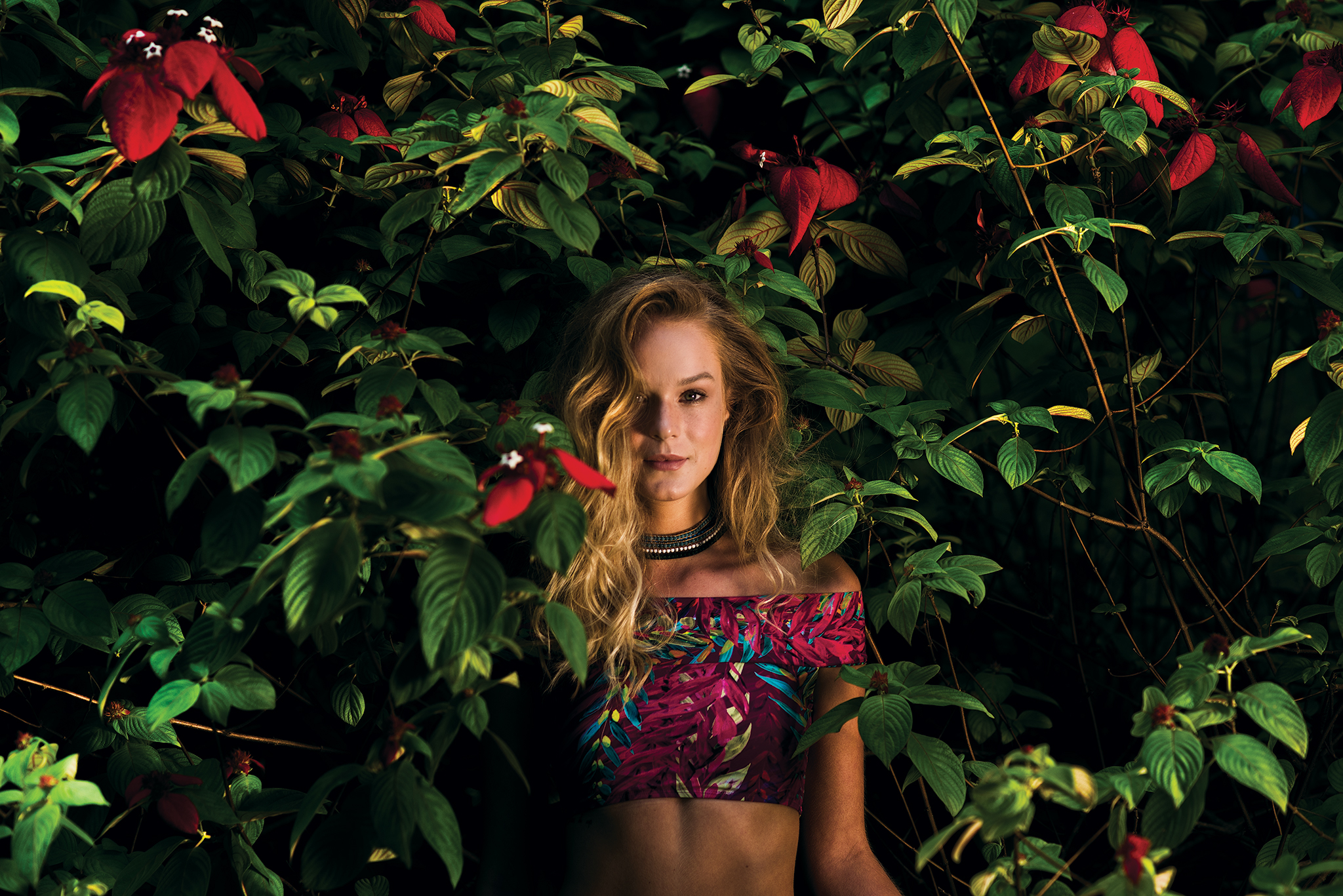 Summer-Tropicalia-02-Small.jpg