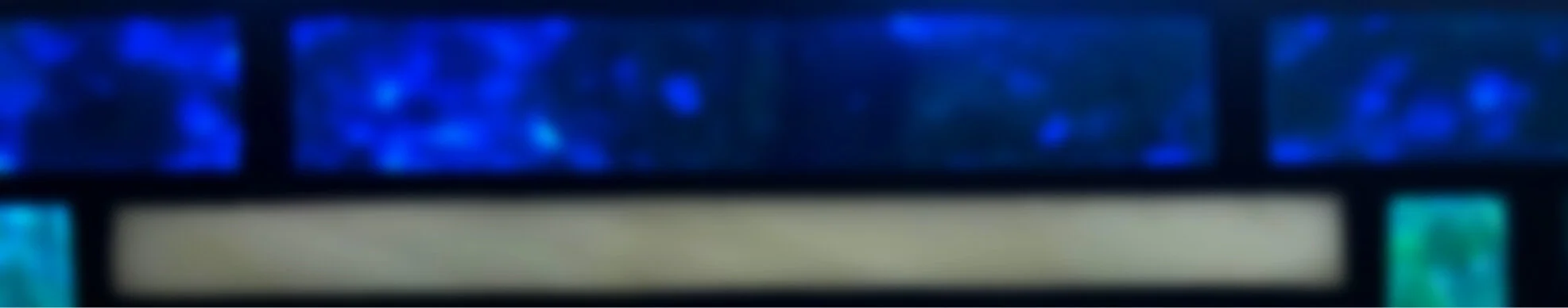 banner+5.jpg