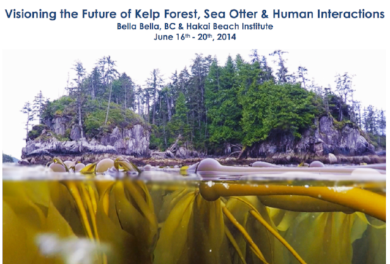 kelp forest workshop.png