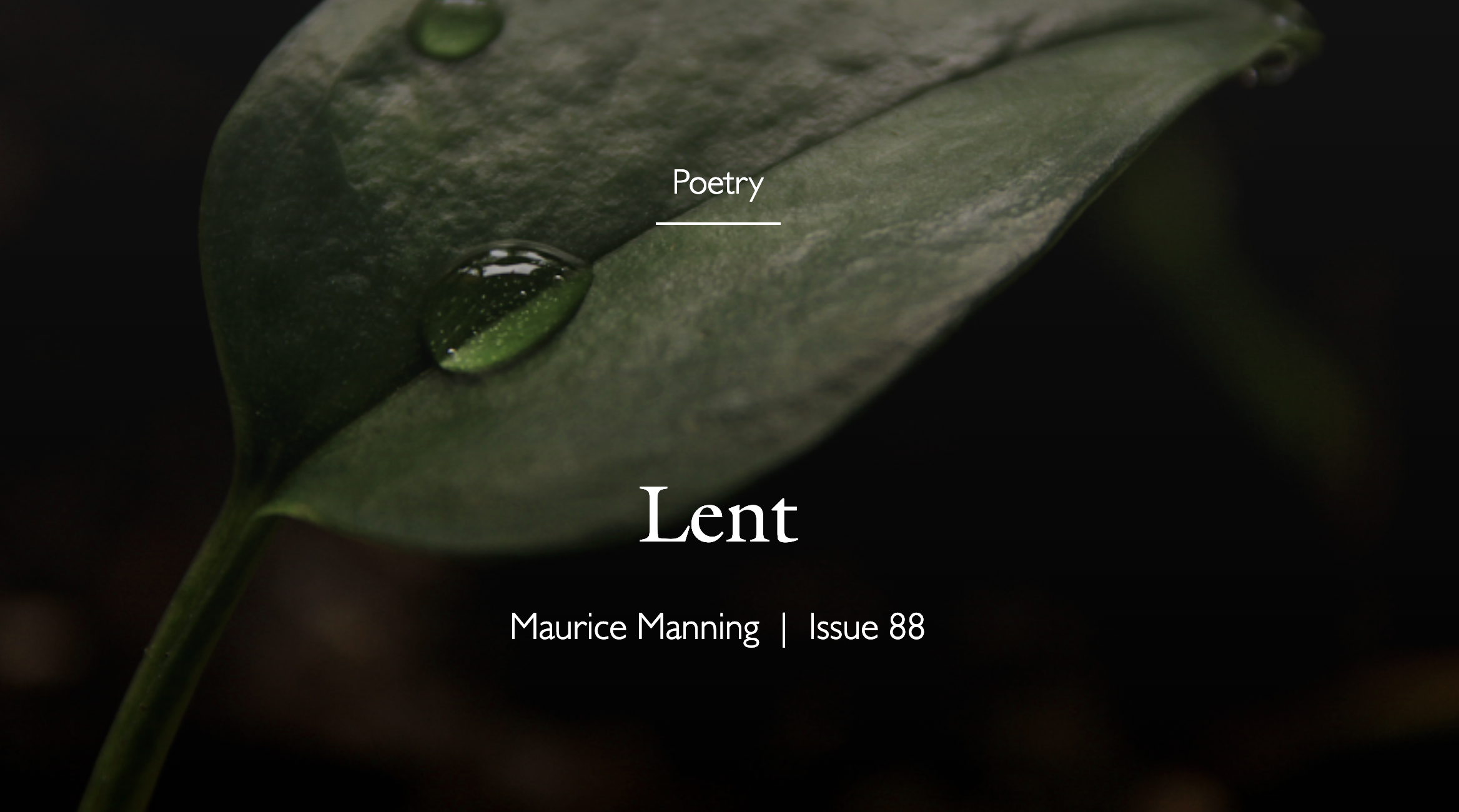 Screen Shot 2019-03-14 at 1.04.28 PM.png