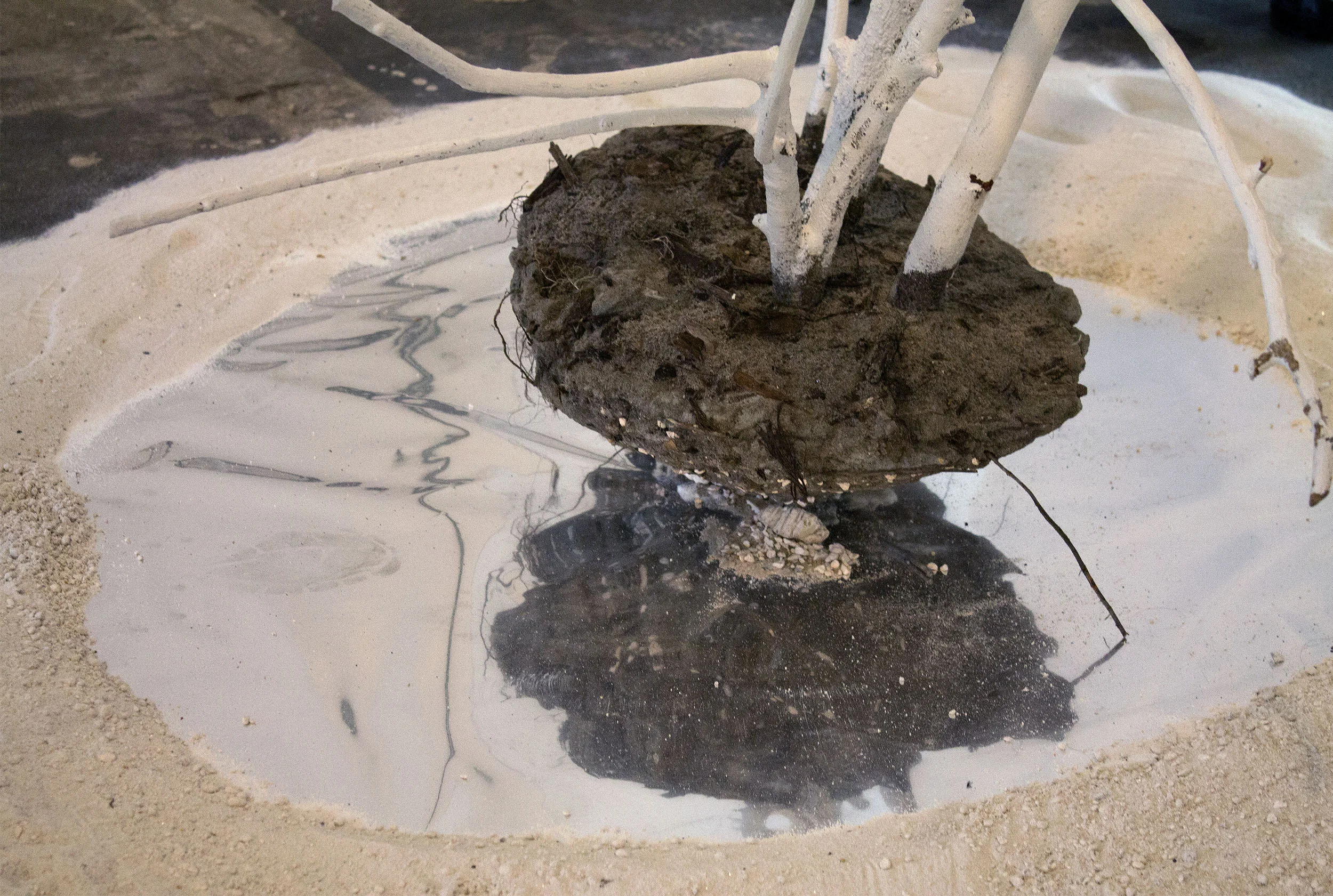stump1.jpg