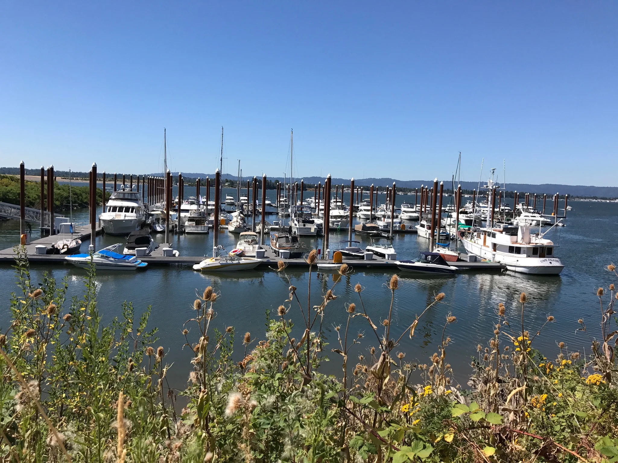 Tidewater Cove Marina Tidewater Cove Marina