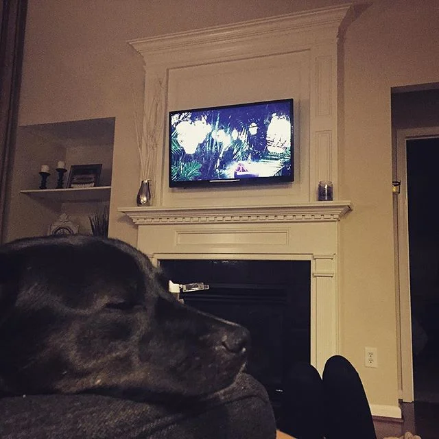 Olive was forced into watching Bachelor In Paradise again. The result speaks for itself.