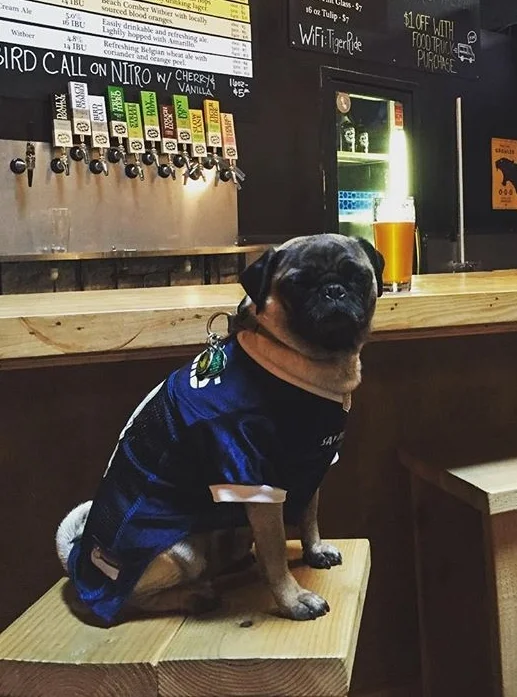 WE are dog and kid friendly in the tasting room