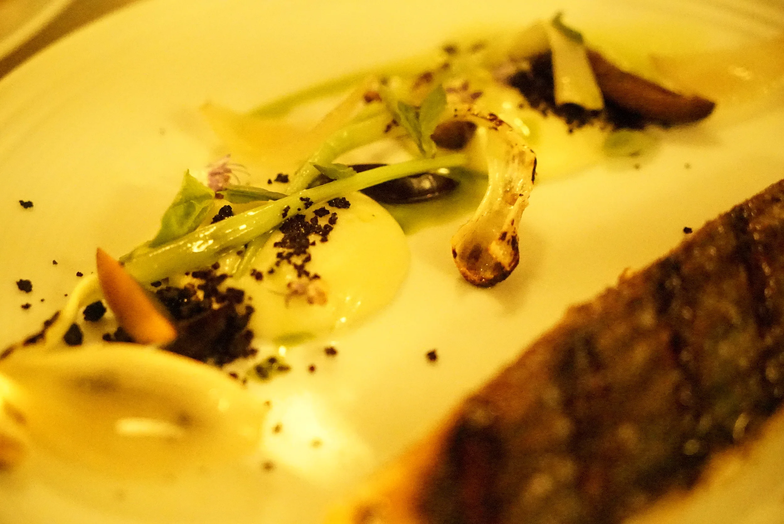 Ocean trout with potato, black olive pangritata, wild garlic and basil.