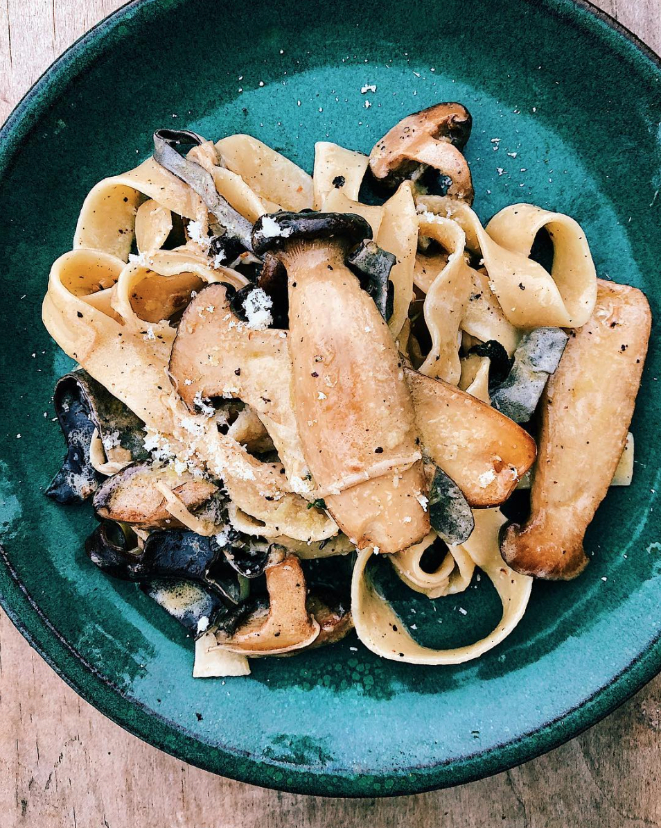 sian redgrave parppadelle, mushroom and thyme.png