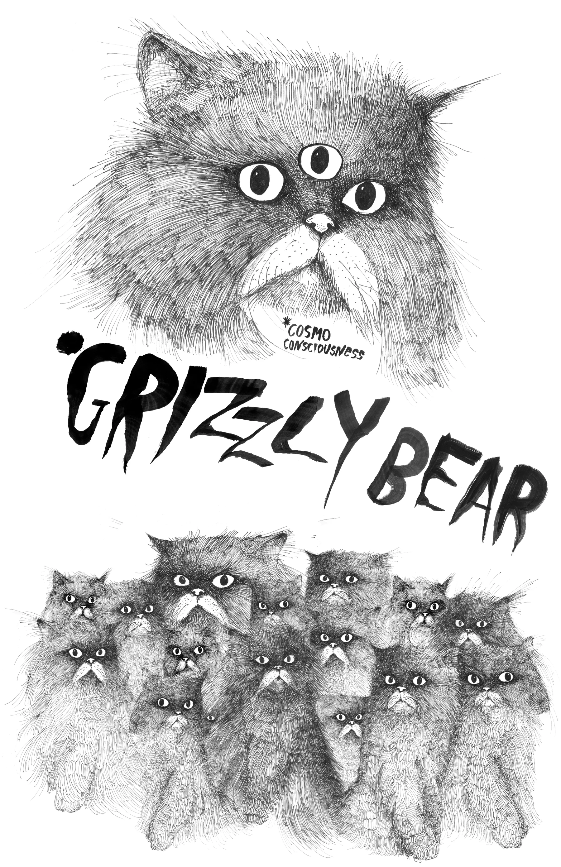 Grizzly Bear Shirt Warp Records