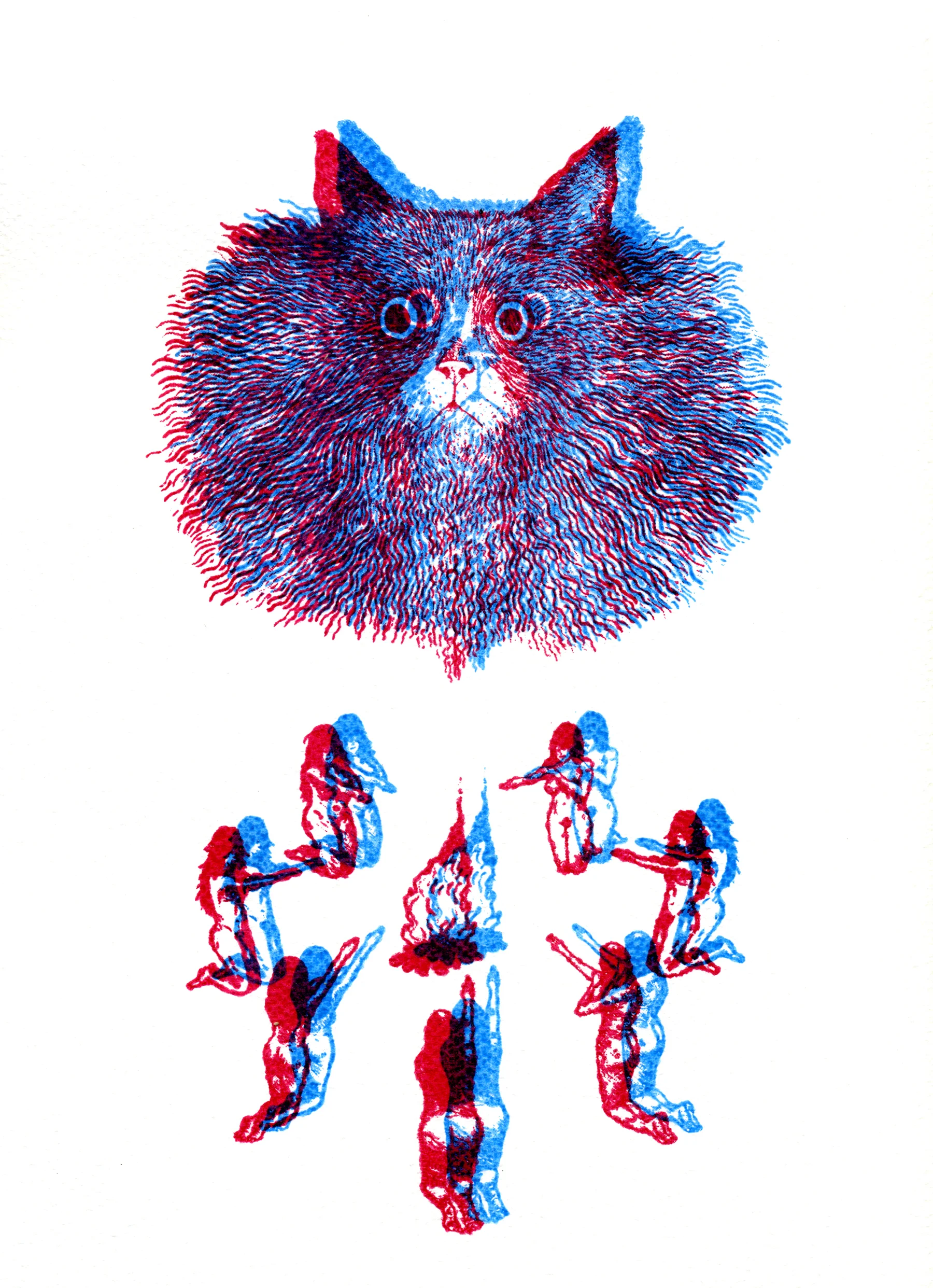 3-D Cat Print