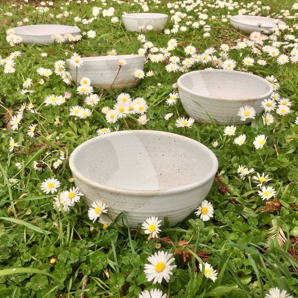 Bowls+in+daisies.jpg