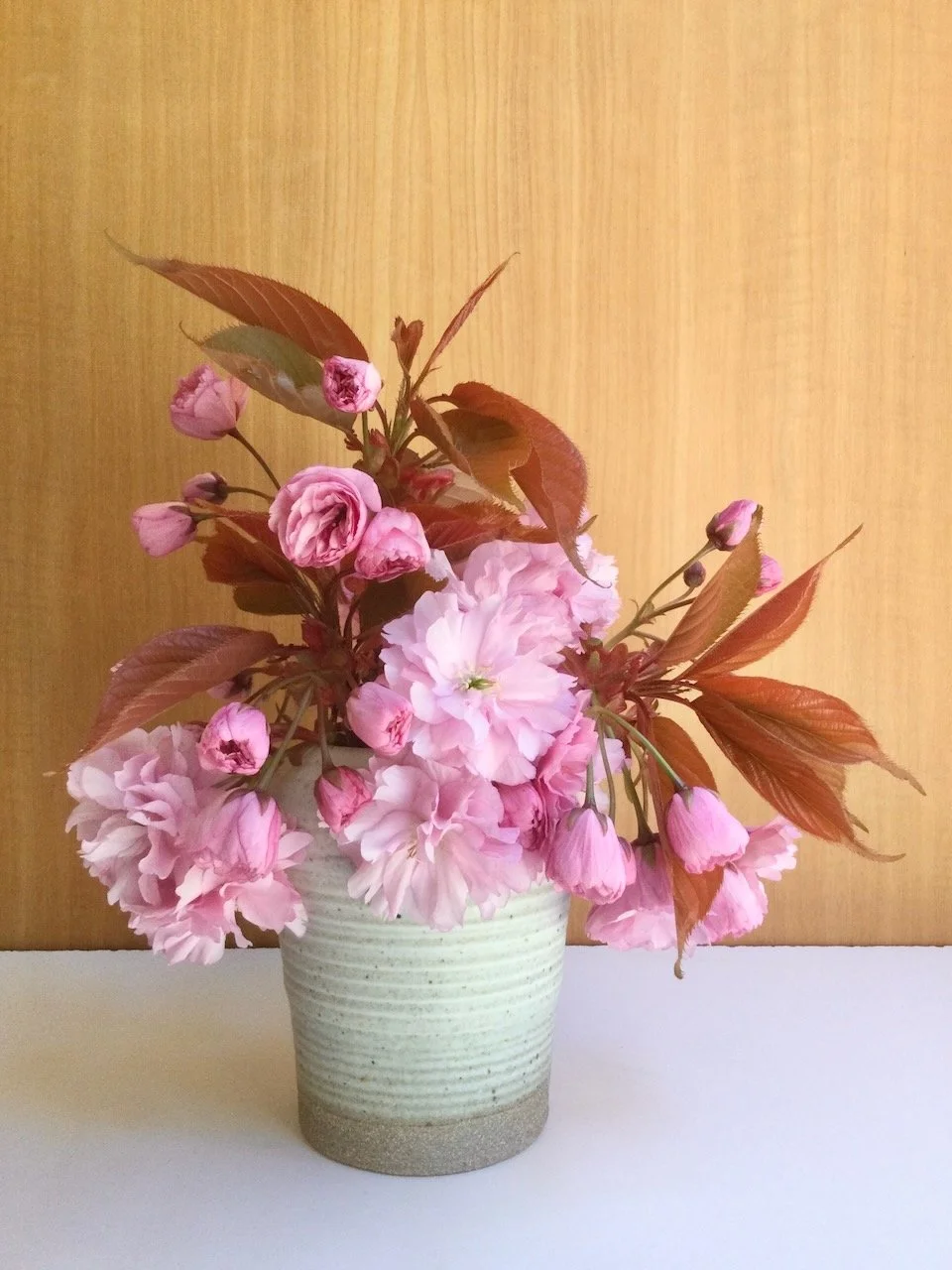 Vase with cherry blossoms.jpeg