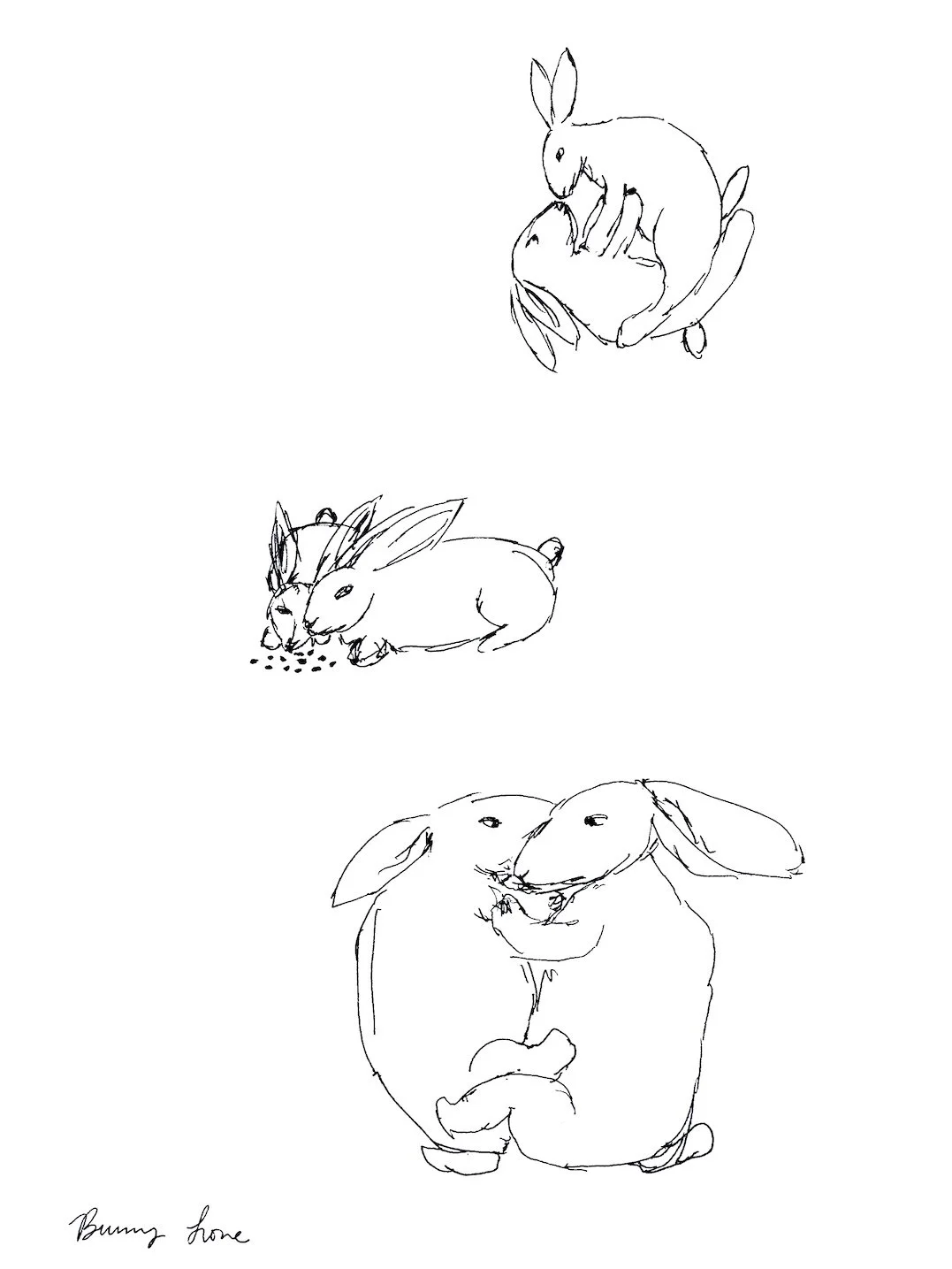 20_Bunny Love smaller.jpeg