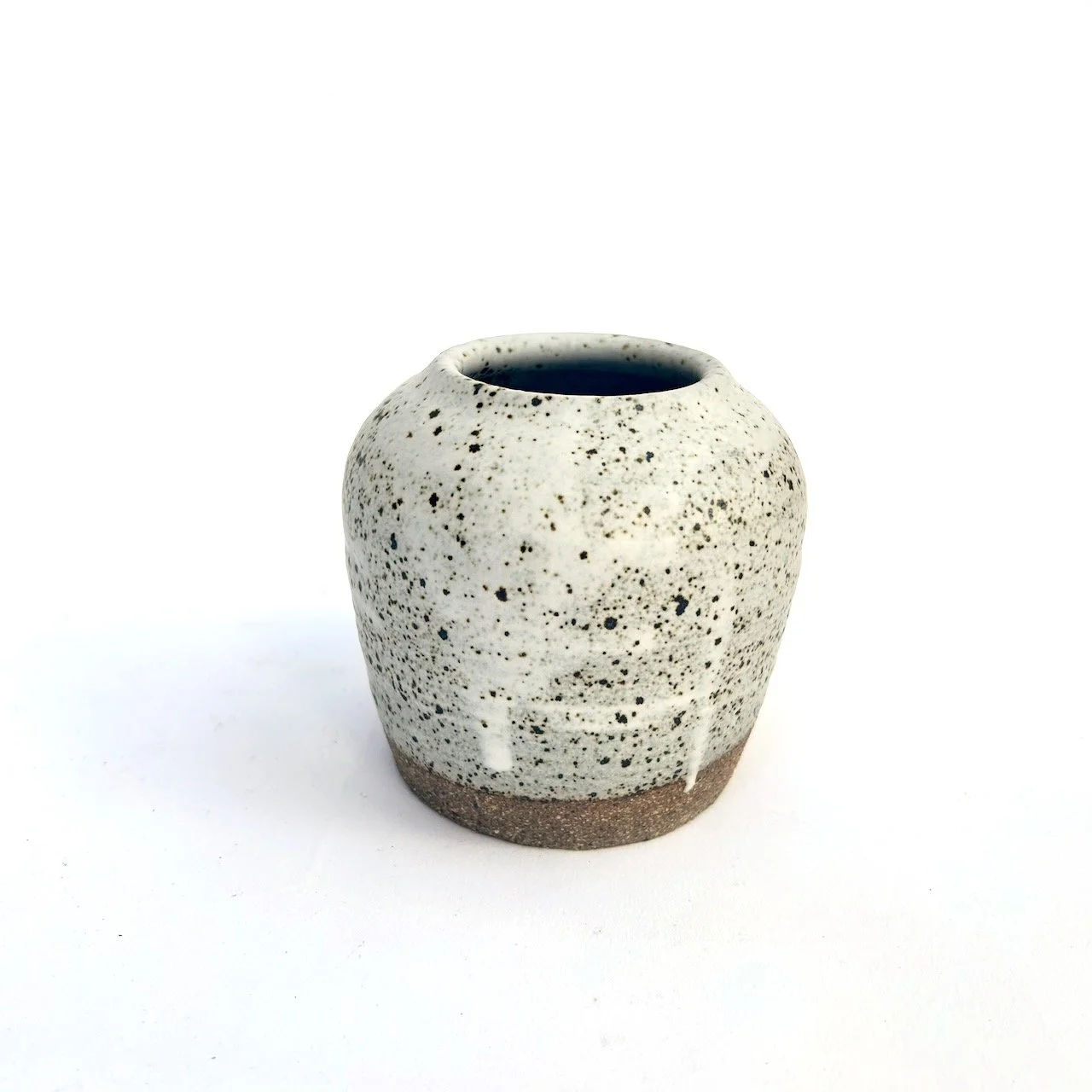 2476 Speckled matte vase.jpeg