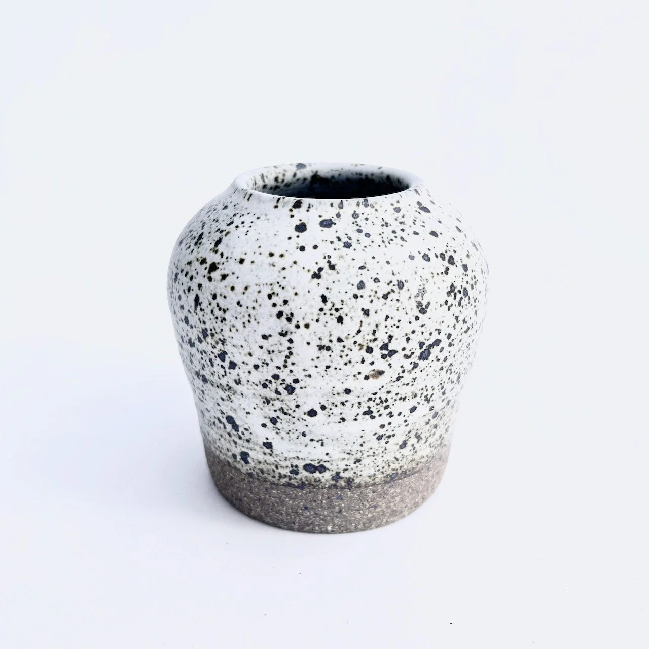 2433 Speckled vase.jpeg