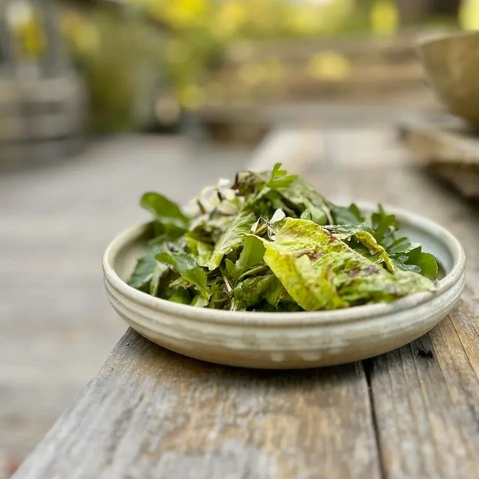 shallow-dinner-bowl-with-salad.jpg