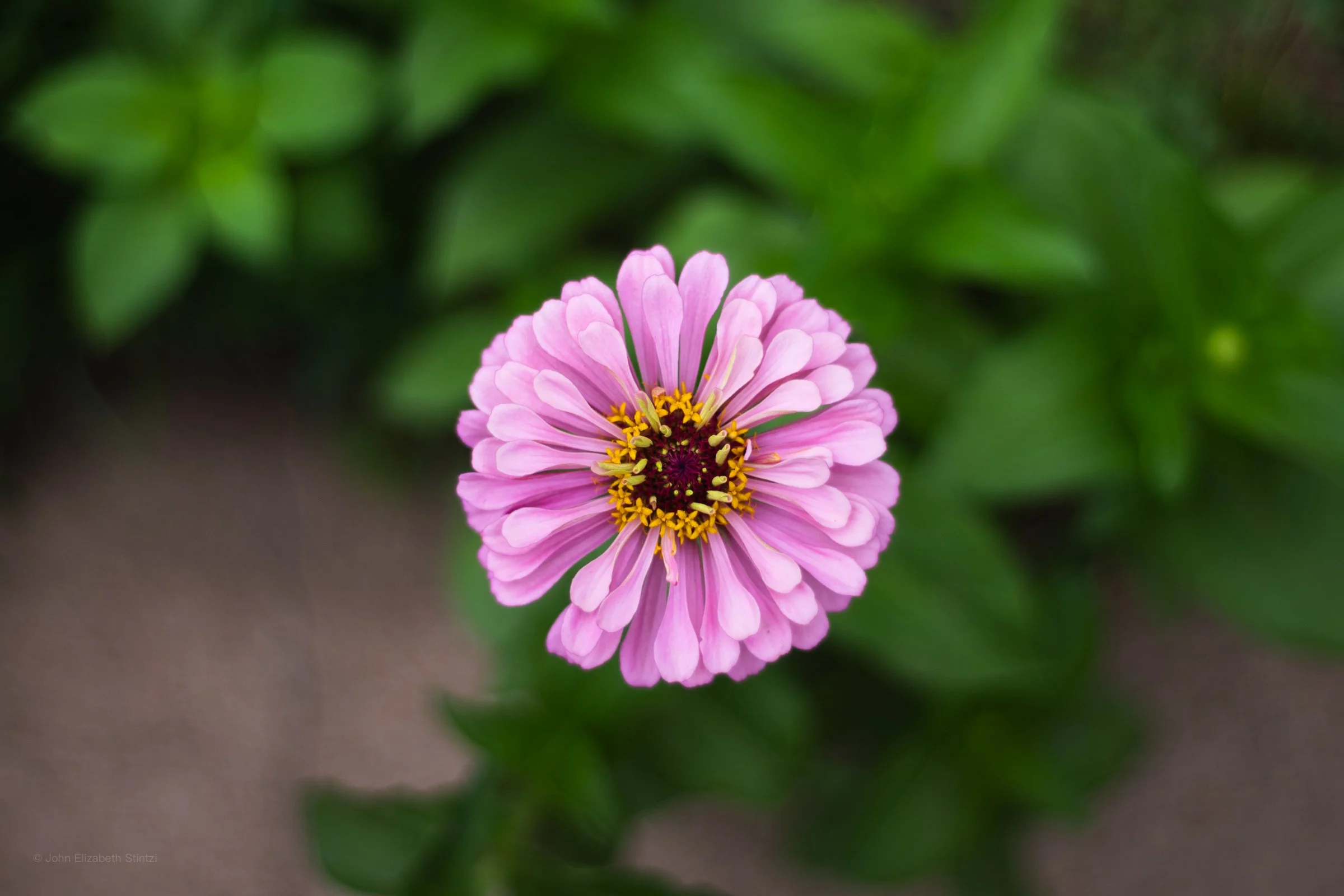 DSC_1074.jpg