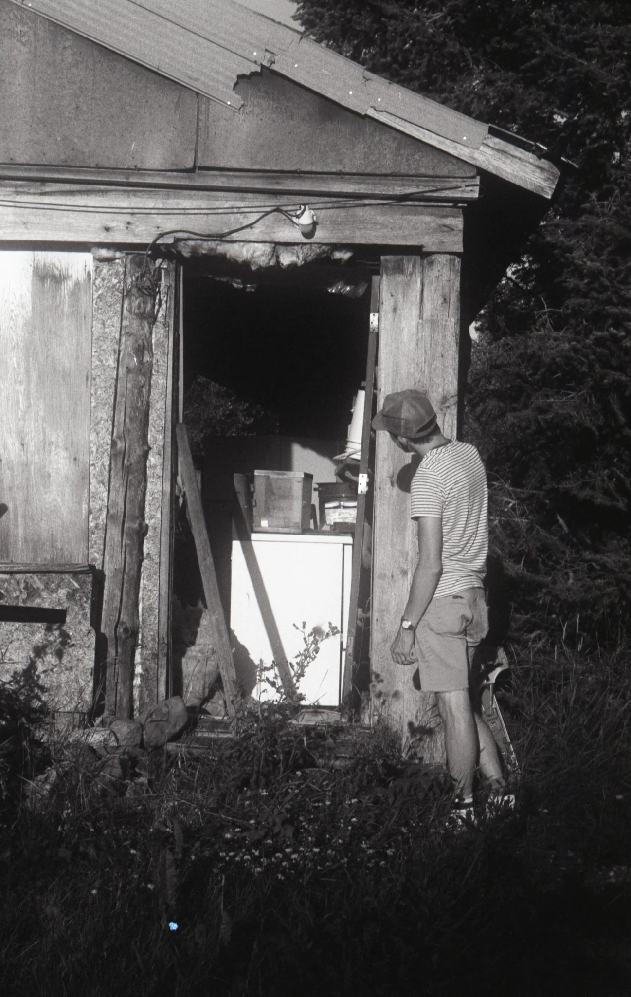 LiiiA_FP4_Farm+_6.jpg