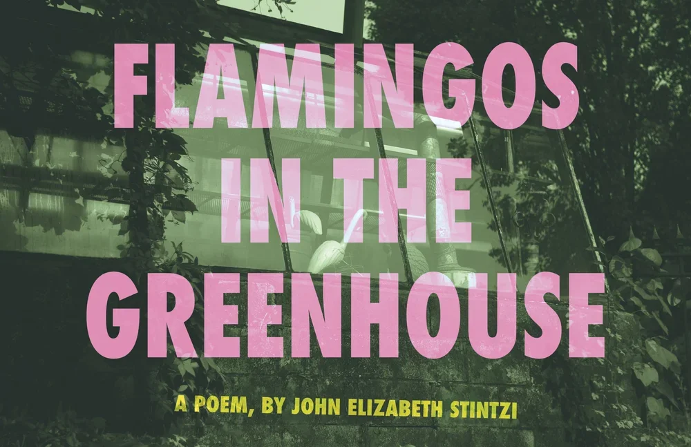  Cover for my self-published chapbook  Flamingos in the Greenhouse  
