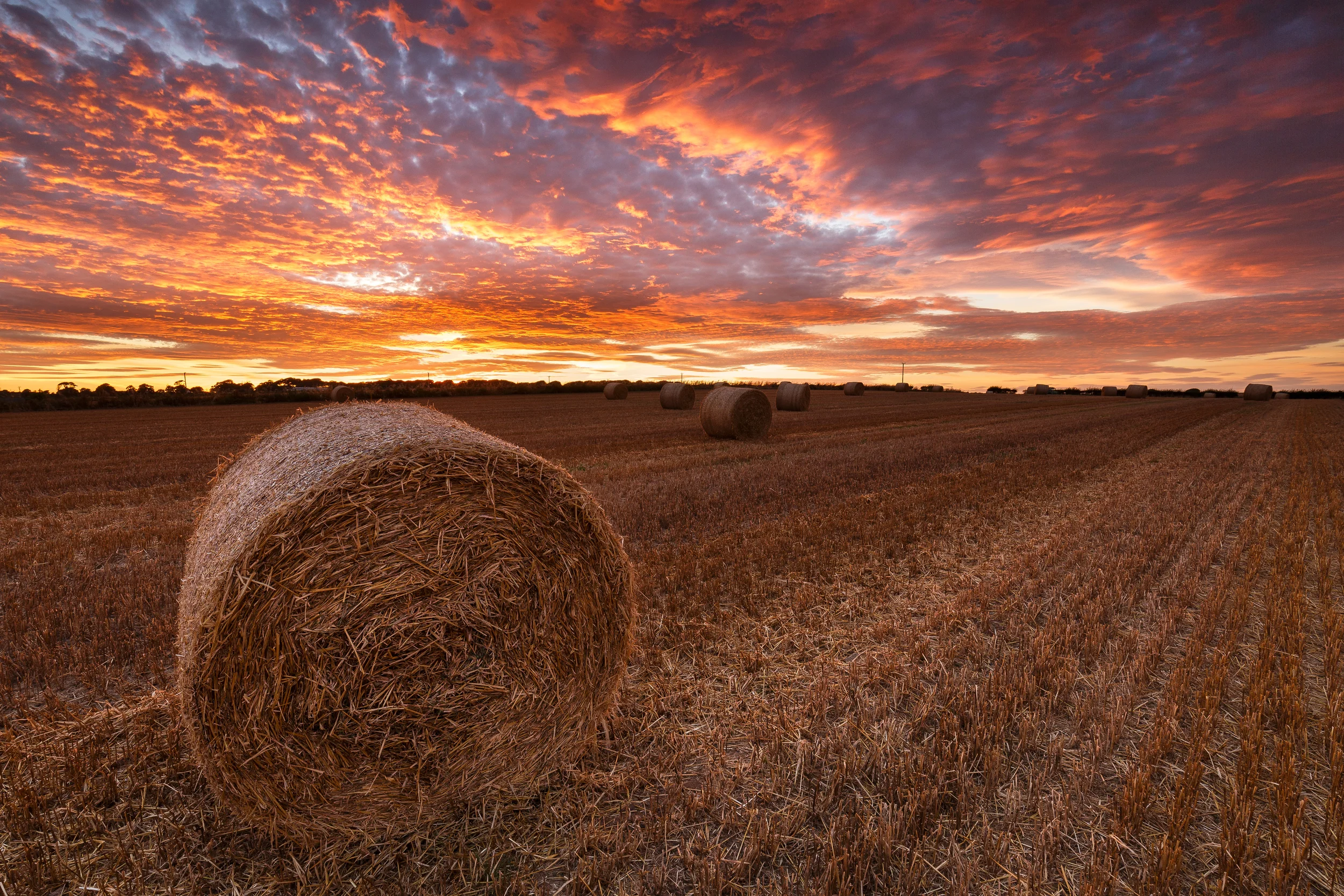 Straw Bales Sunset