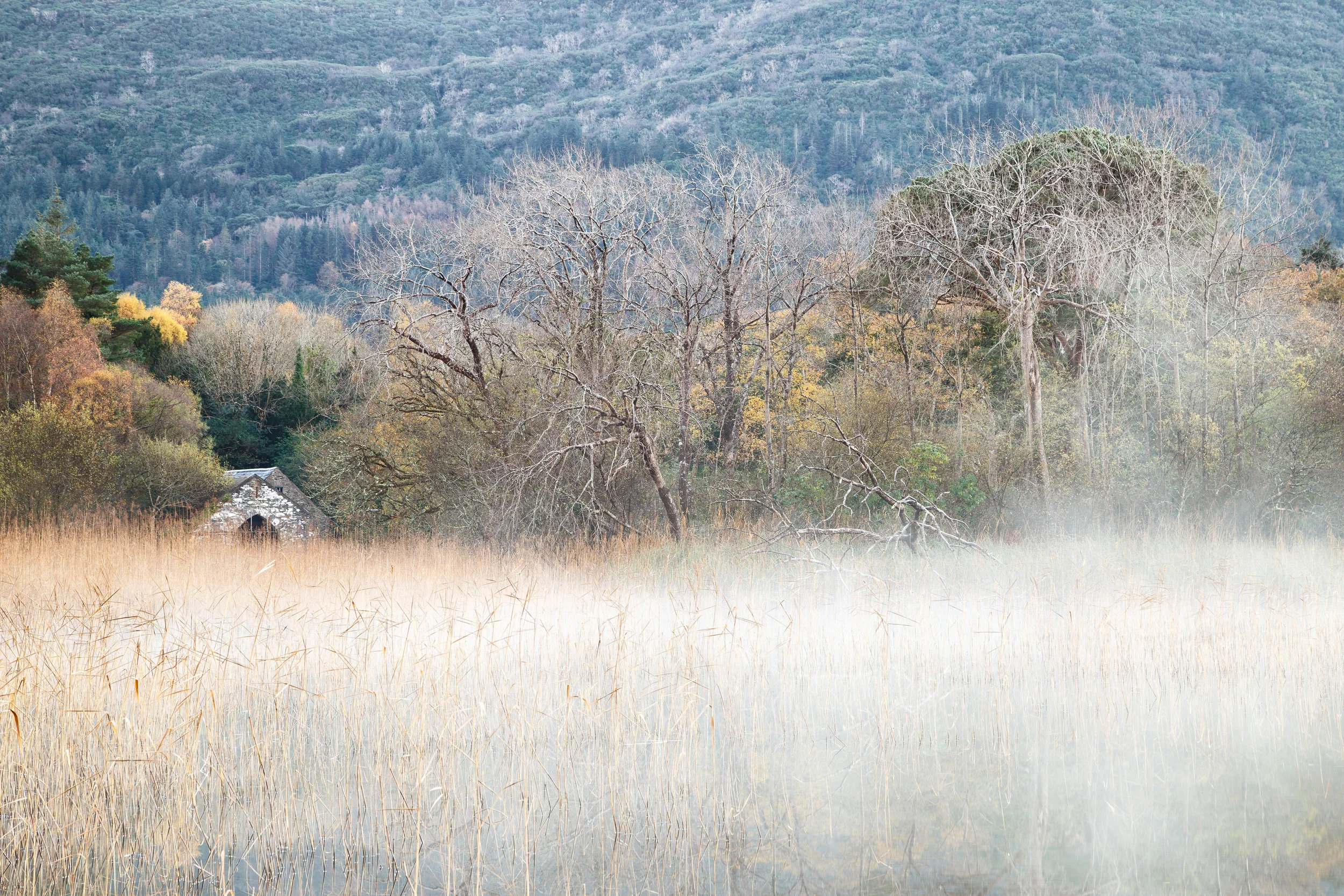 Lost Within The Landscape