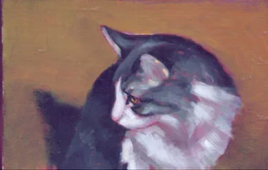 8422869_orig.jpg