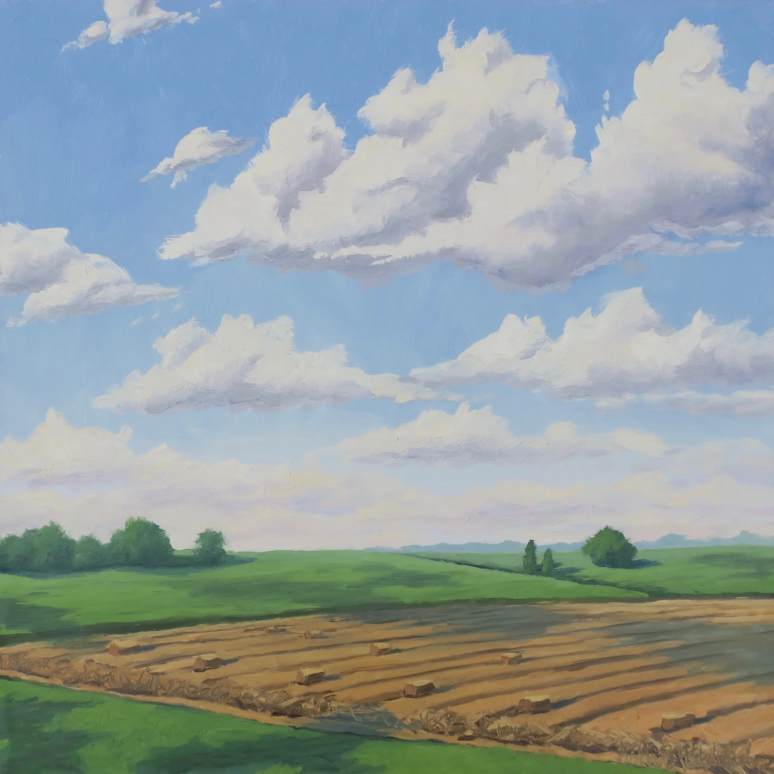 CloudsandBales,ErinMeadows.jpg