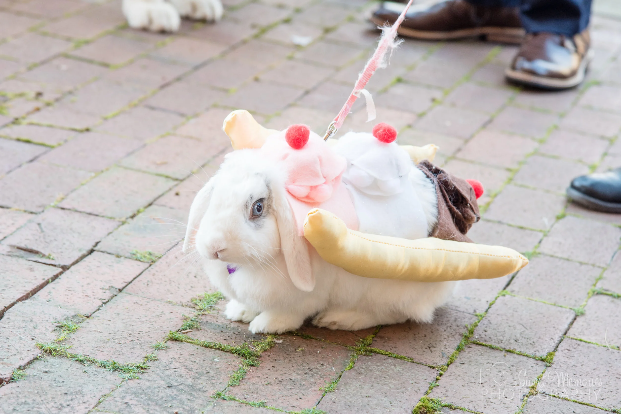 Howl-O-Ween_2016-95.jpg