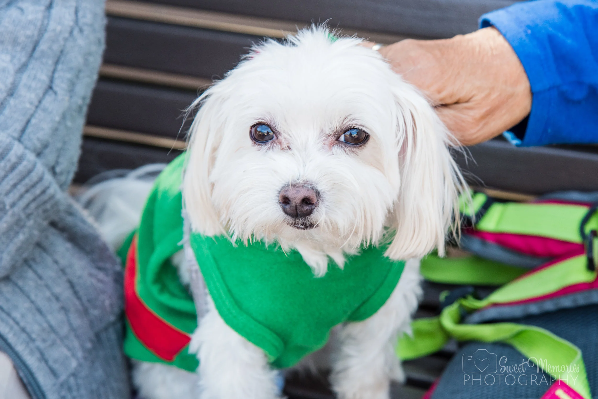 Howl-O-Ween_2016-112.jpg