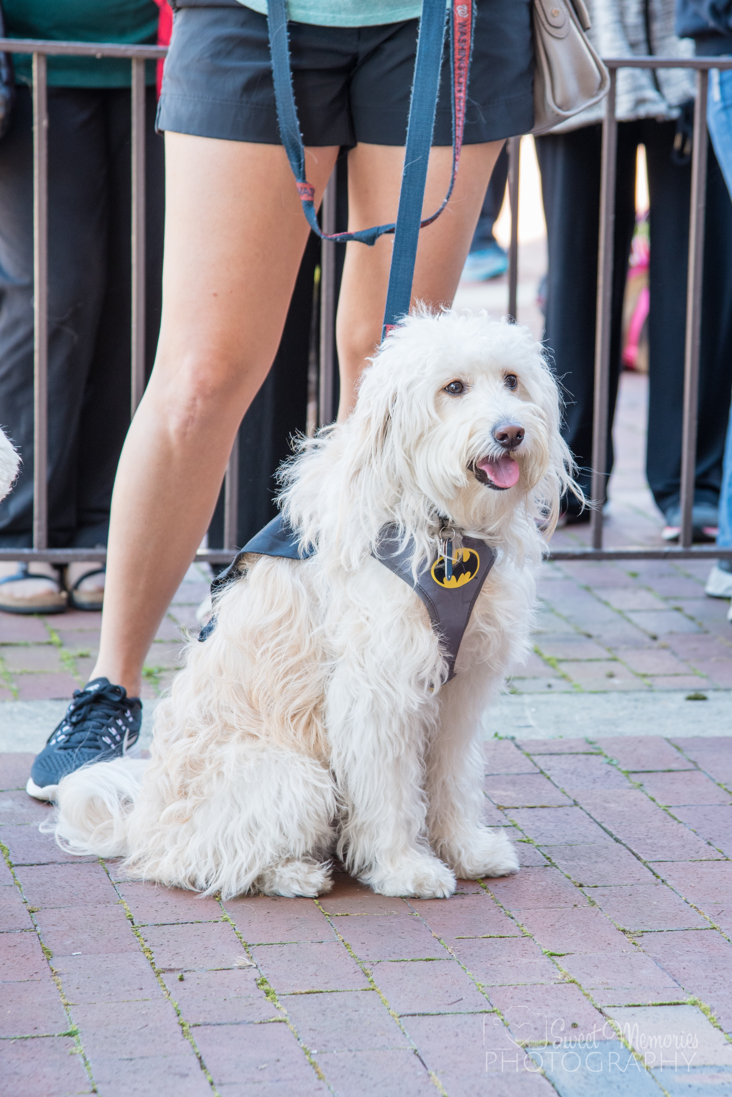 Howl-O-Ween_2016-61.jpg