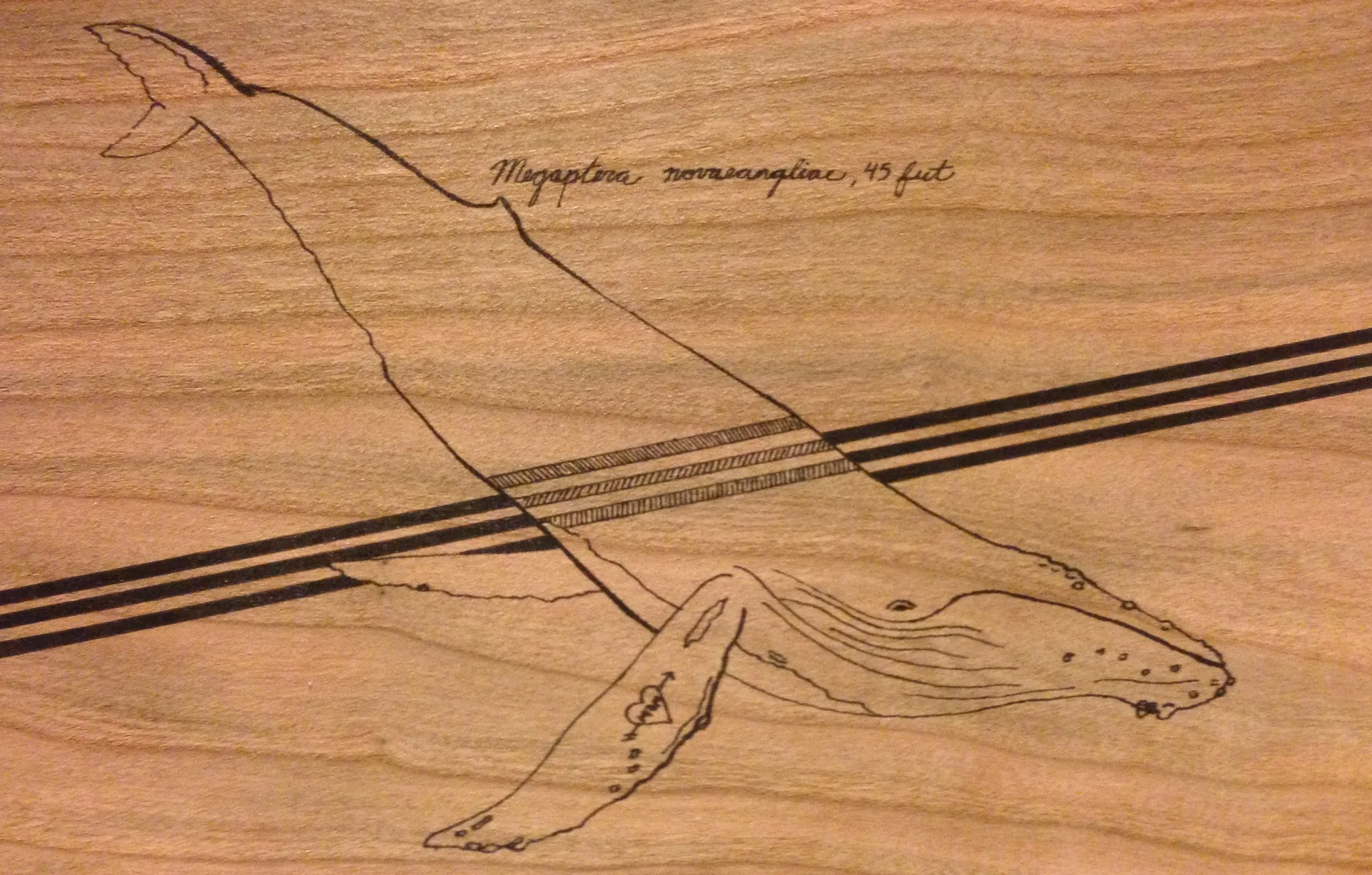 heart mom & humpback