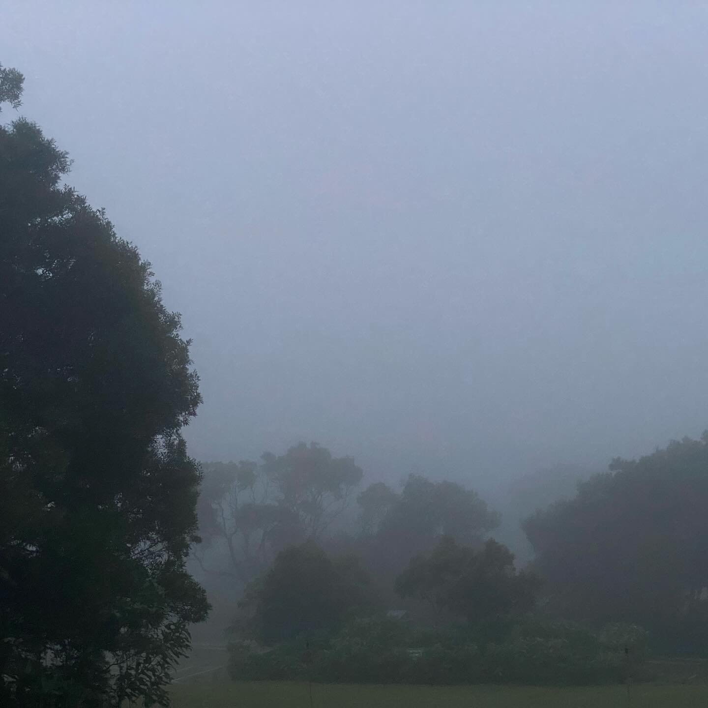 Reflection - Awakened Woman Workshop 
Just a week ago, I was part of the team from Planet Personal Growth Awakened Woman Workshop in Springbrook, QLD. With ten supportive crew members by my side , we welcomed sixteen women, most of whom were stranger