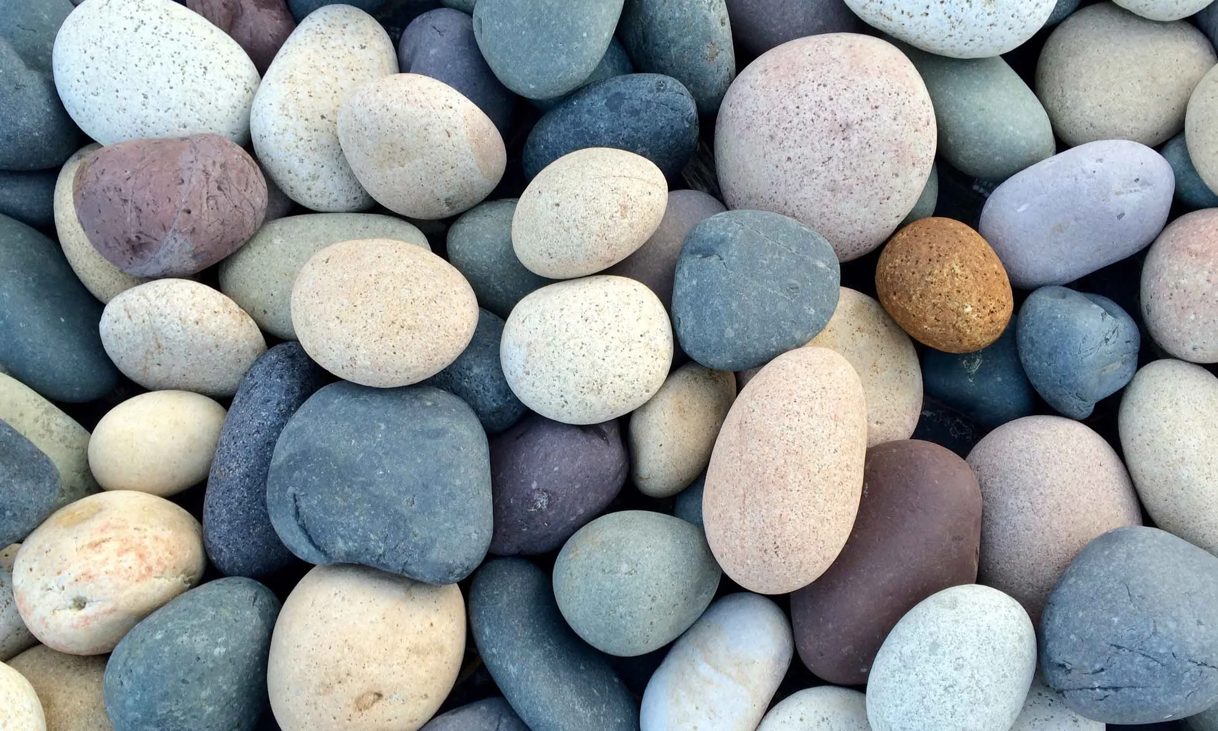 Pebbles-Banner_w.jpg