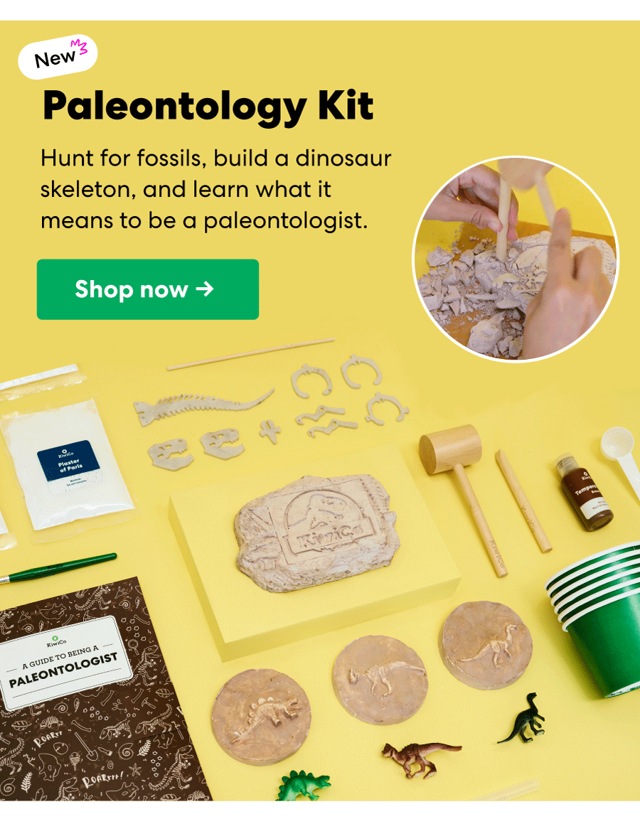 3A_Paleontology.gif