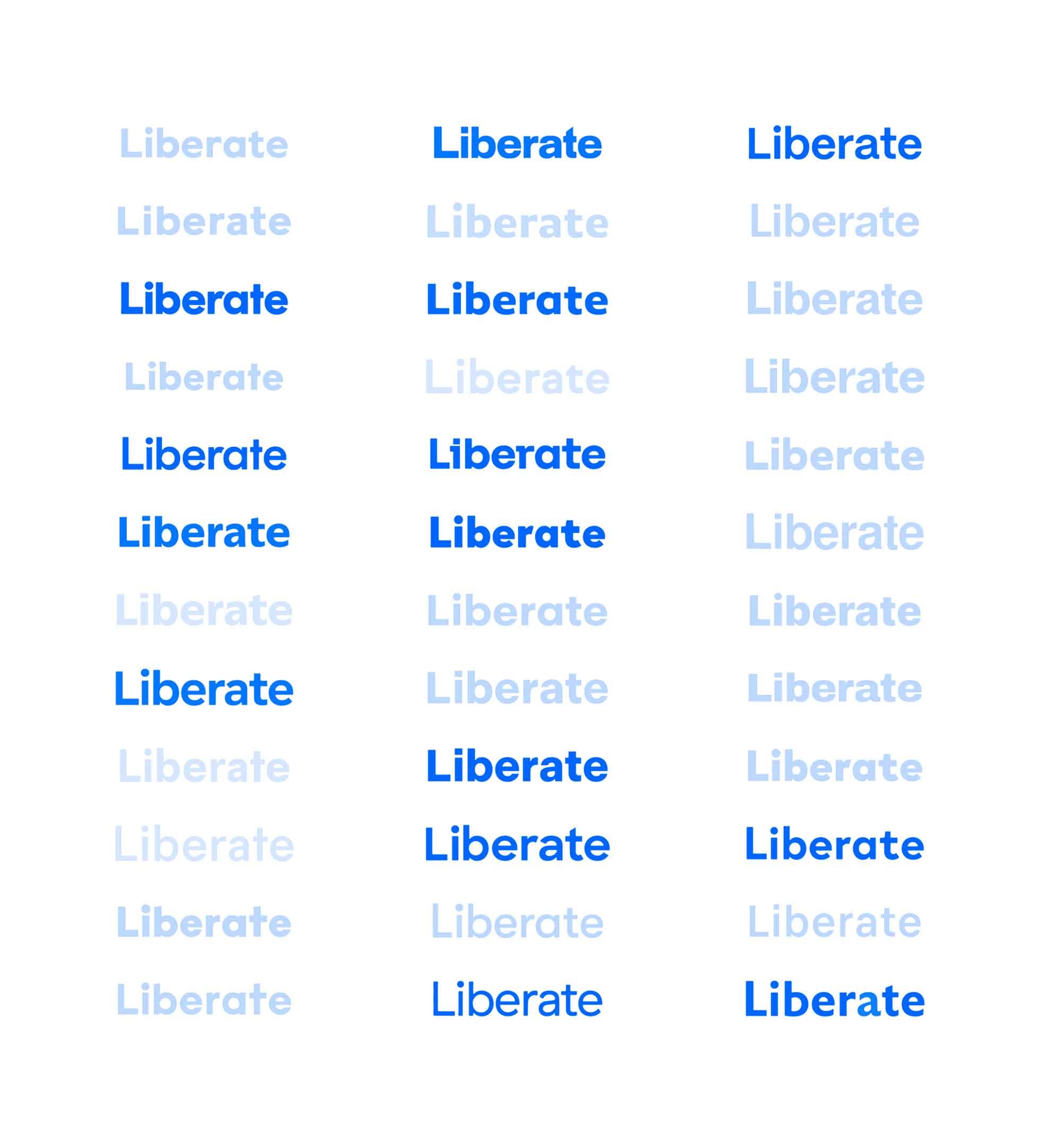 Liberate_logo-wordmark-exploration.jpg