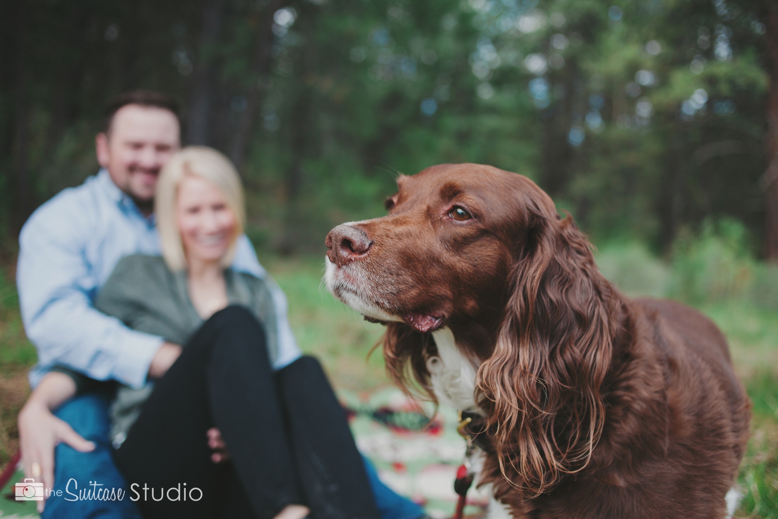 Bend, Oregon Lifestyle Wedding Photographer - The Suitcase Studio - Engagement Photos at Big Eddy - Picnic with Dog