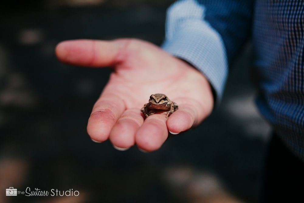 Bend, Oregon Lifestyle Wedding Photographer -  The Suitcase Studio - Engagement Photos at Dillon Falls - Deschutes Forest - Caught a Frog