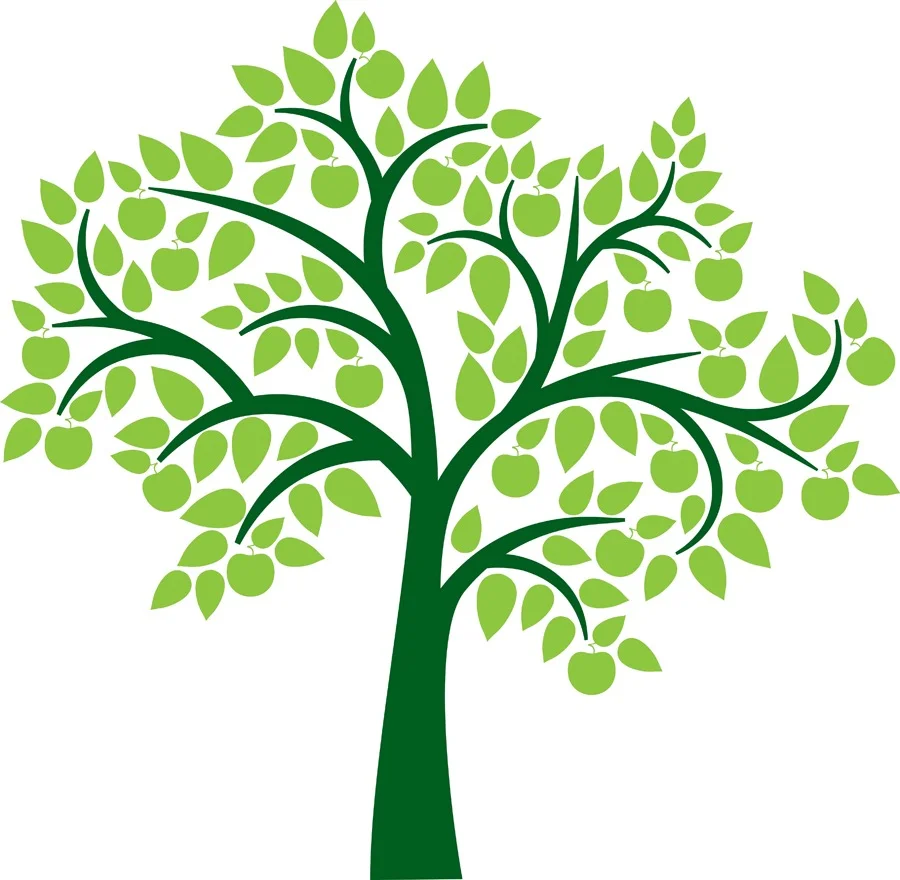 Create Your Best Life Workshop (CYbL)