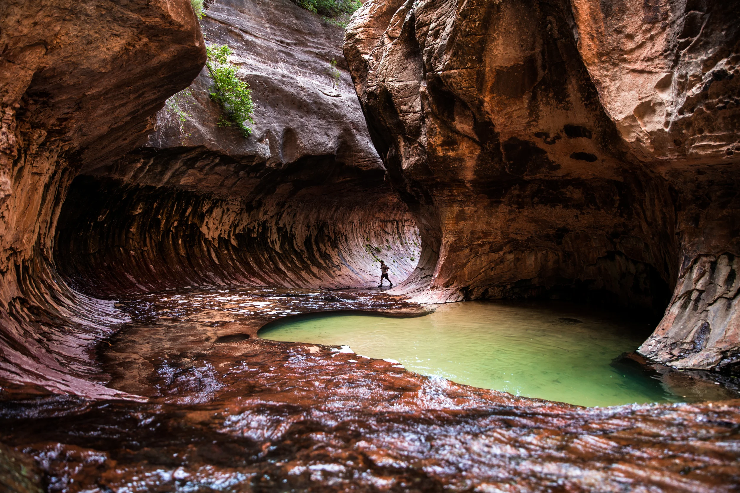 20160622_Zion_013.jpg